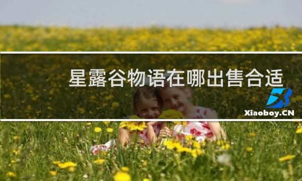 星露谷物语在哪出售合适