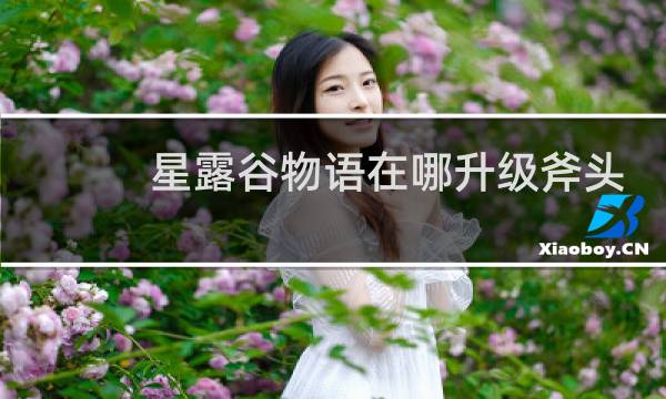 星露谷物语在哪升级斧头