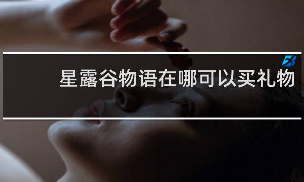 星露谷物语在哪可以买礼物