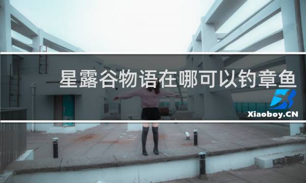 星露谷物语在哪可以钓章鱼