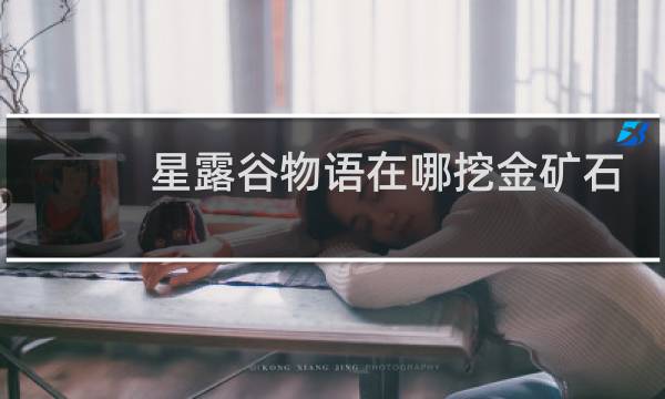 星露谷物语在哪挖金矿石