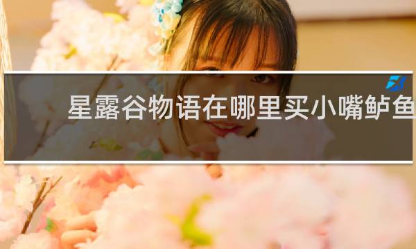 星露谷物语在哪里买小嘴鲈鱼