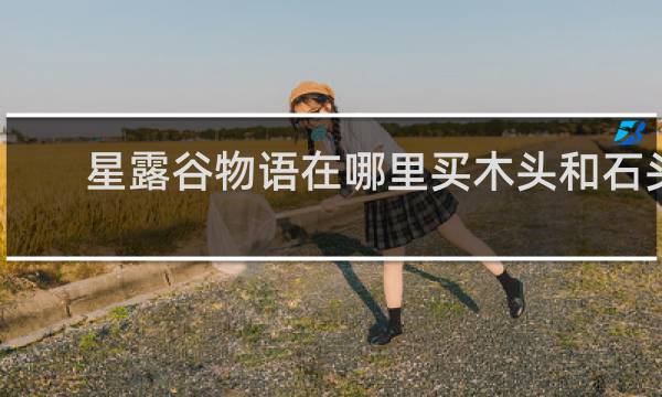 星露谷物语在哪里买木头和石头