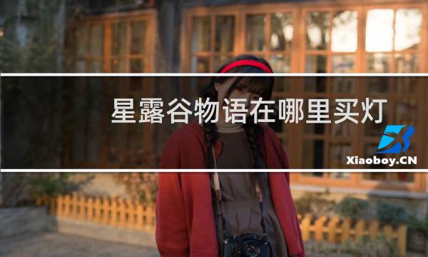 星露谷物语在哪里买灯