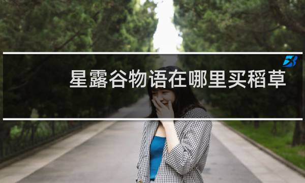 星露谷物语在哪里买稻草