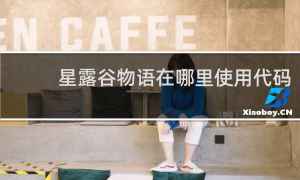 星露谷物语在哪里使用代码