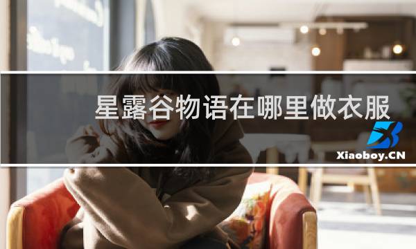 星露谷物语在哪里做衣服