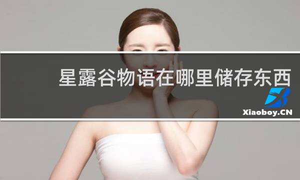 星露谷物语在哪里储存东西