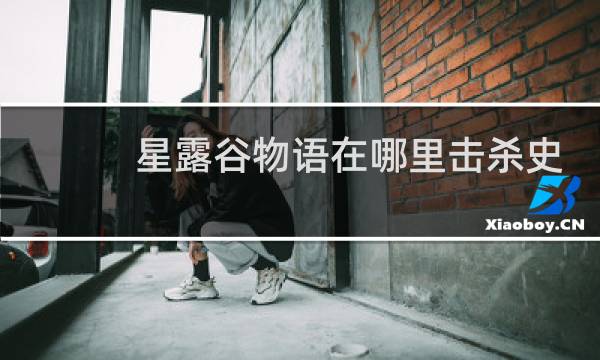 星露谷物语在哪里击杀史