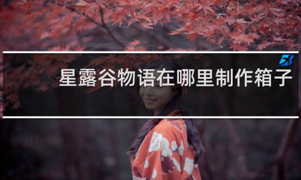 星露谷物语在哪里制作箱子