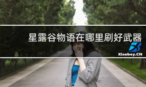 星露谷物语在哪里刷好武器