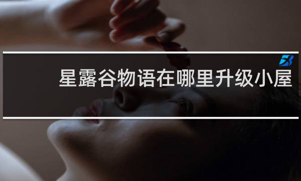 星露谷物语在哪里升级小屋