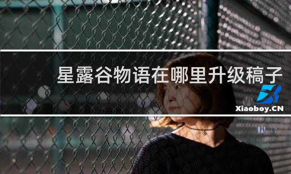 星露谷物语在哪里升级稿子