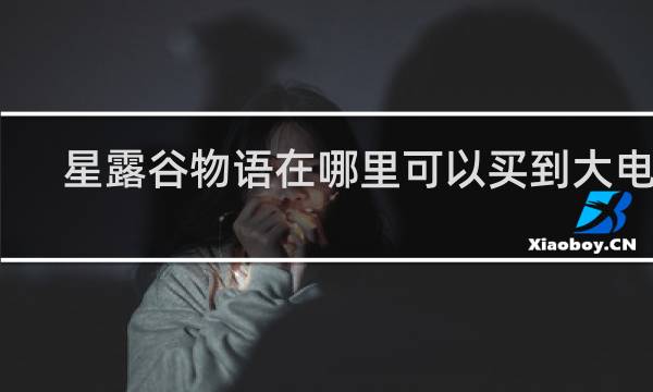 星露谷物语在哪里可以买到大电视