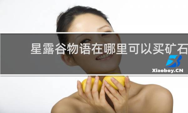 星露谷物语在哪里可以买矿石