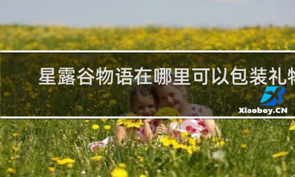星露谷物语在哪里可以包装礼物