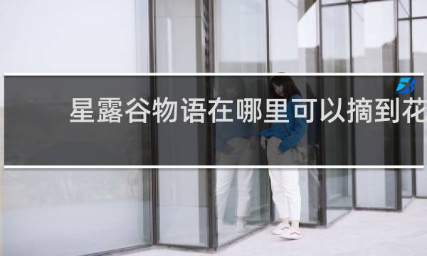 星露谷物语在哪里可以摘到花