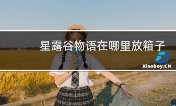 星露谷物语在哪里放箱子