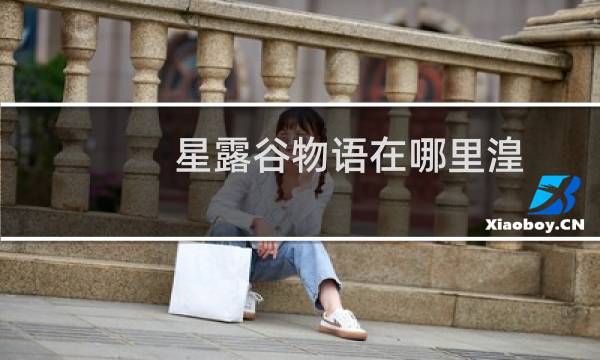 星露谷物语在哪里湟