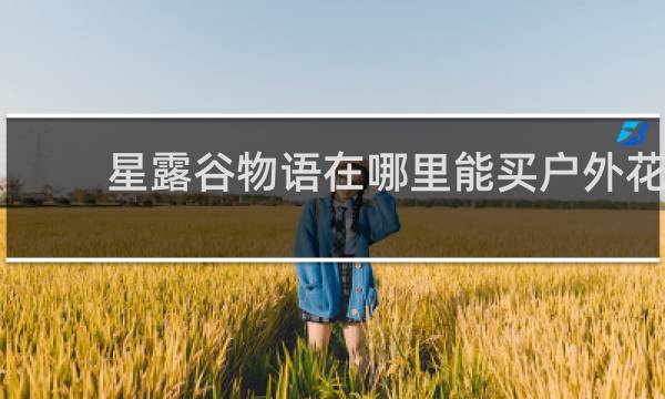 星露谷物语在哪里能买户外花