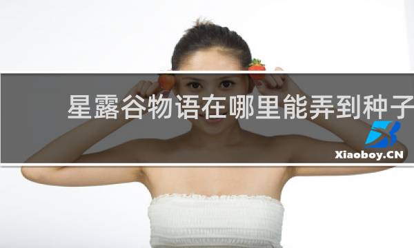 星露谷物语在哪里能弄到种子