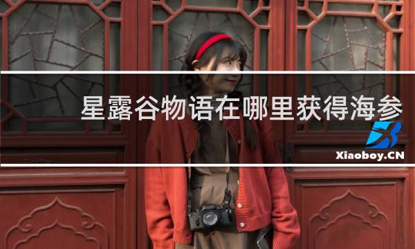 星露谷物语在哪里获得海参