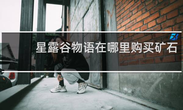 星露谷物语在哪里购买矿石