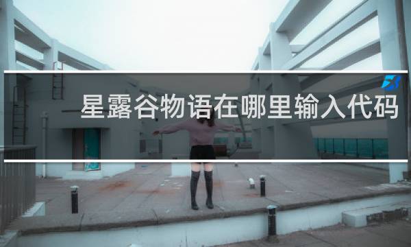 星露谷物语在哪里输入代码