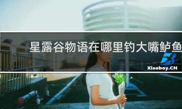 星露谷物语在哪里钓大嘴鲈鱼