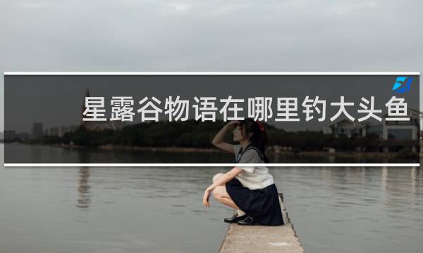 星露谷物语在哪里钓大头鱼