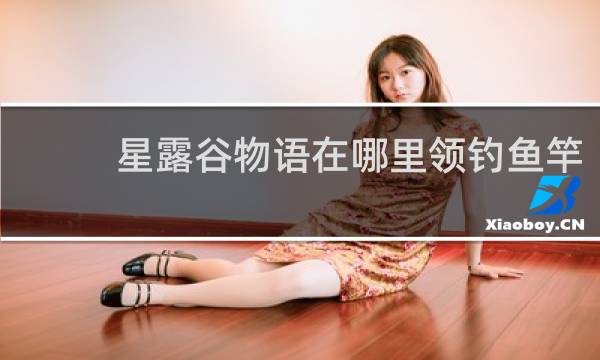 星露谷物语在哪里领钓鱼竿