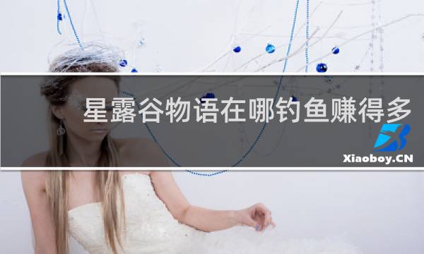 星露谷物语在哪钓鱼赚得多