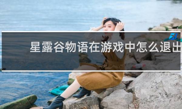 星露谷物语在游戏中怎么退出