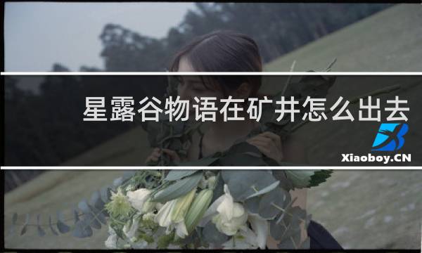 星露谷物语在矿井怎么出去
