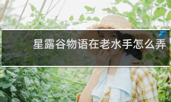 星露谷物语在老水手怎么弄