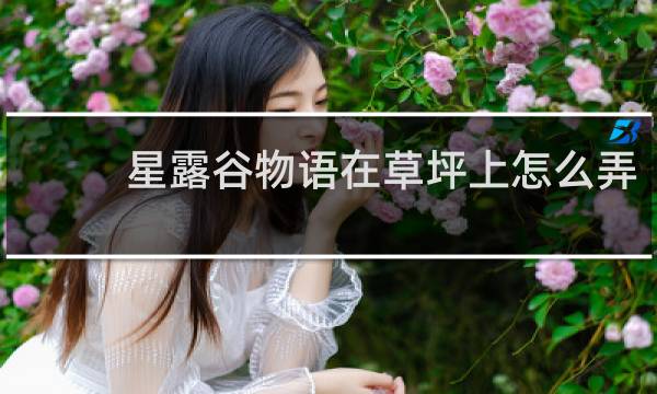 星露谷物语在草坪上怎么弄