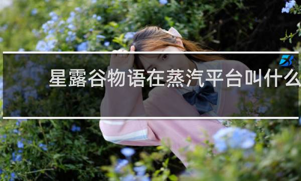 星露谷物语在蒸汽平台叫什么