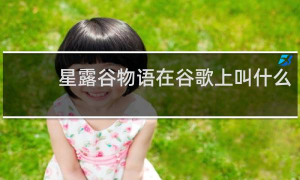 星露谷物语在谷歌上叫什么