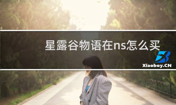 星露谷物语在ns怎么买