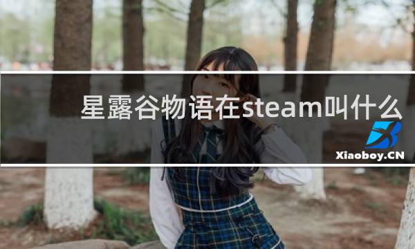 星露谷物语在steam叫什么
