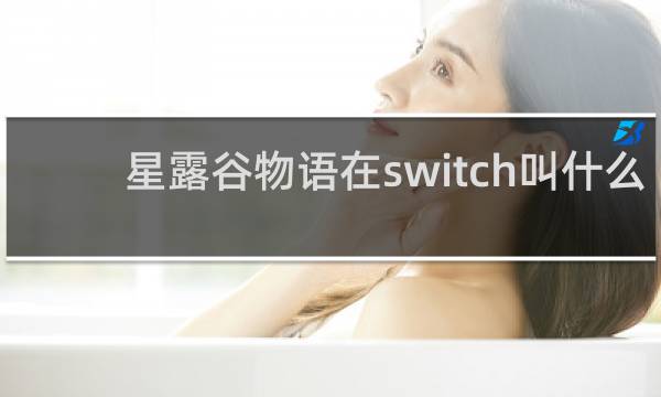 星露谷物语在switch叫什么
