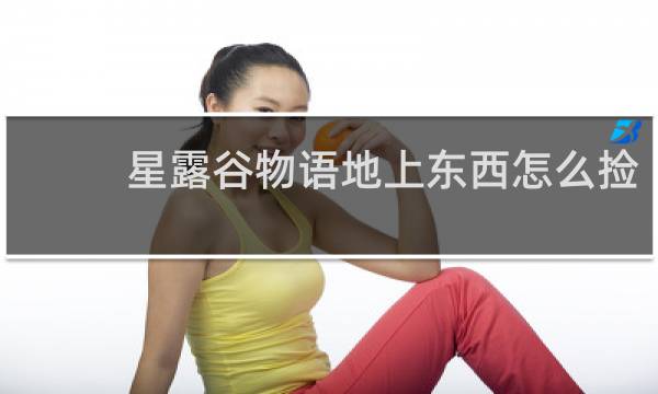 星露谷物语地上东西怎么捡