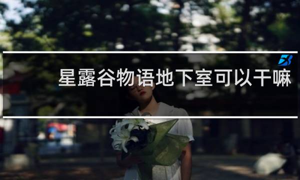 星露谷物语地下室可以干嘛