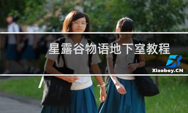 星露谷物语地下室教程