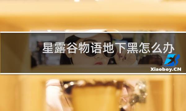 星露谷物语地下黑怎么办