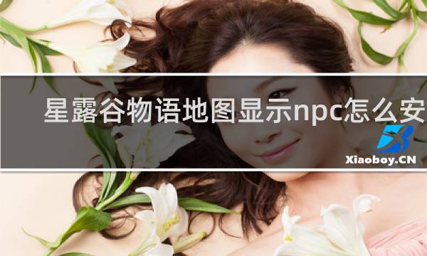 星露谷物语地图显示npc怎么安装