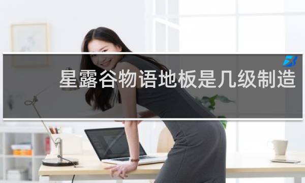 星露谷物语地板是几级制造