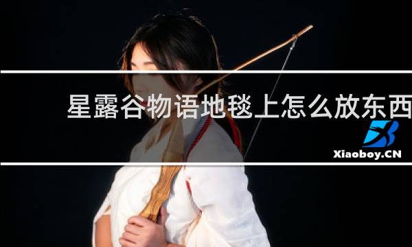 星露谷物语地毯上怎么放东西