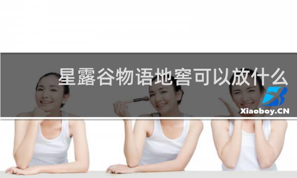 星露谷物语地窖可以放什么