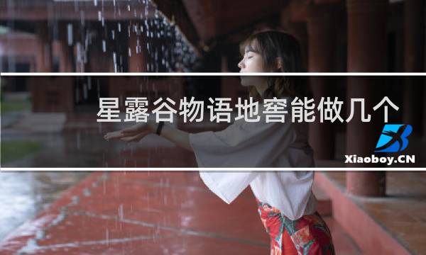 星露谷物语地窖能做几个
